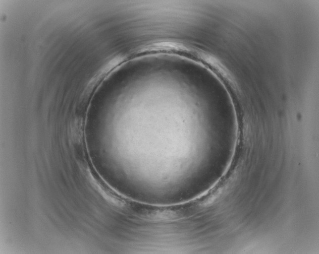 X0000062141233200512091207