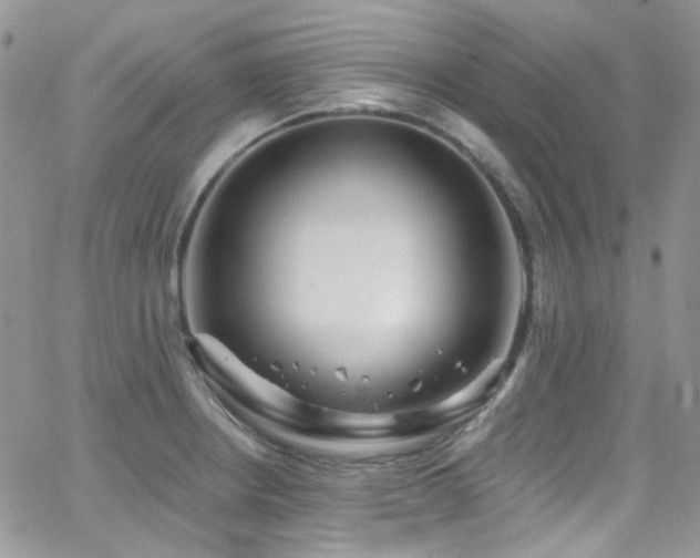 X0000062141234200512091207