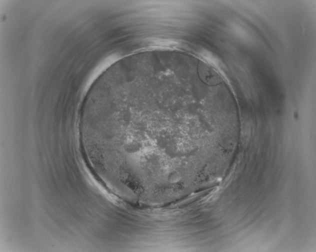 X0000062141235200512091207