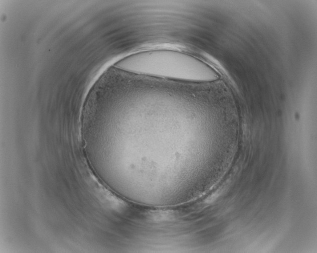 X0000062141236200512091207