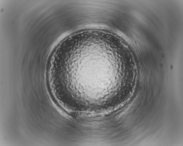 X0000062141237200512091207