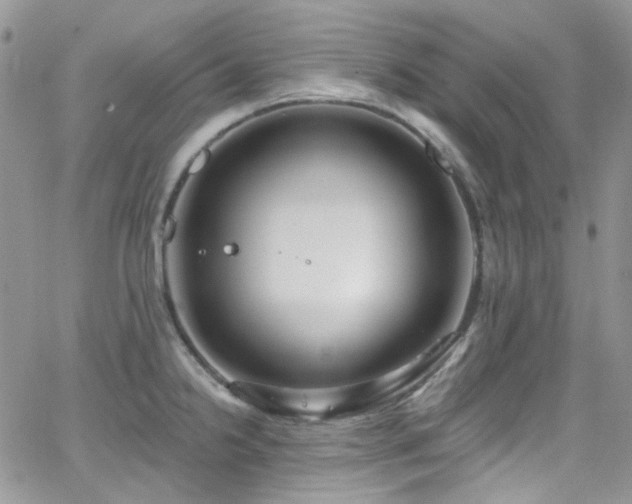 X0000062141238200512091207