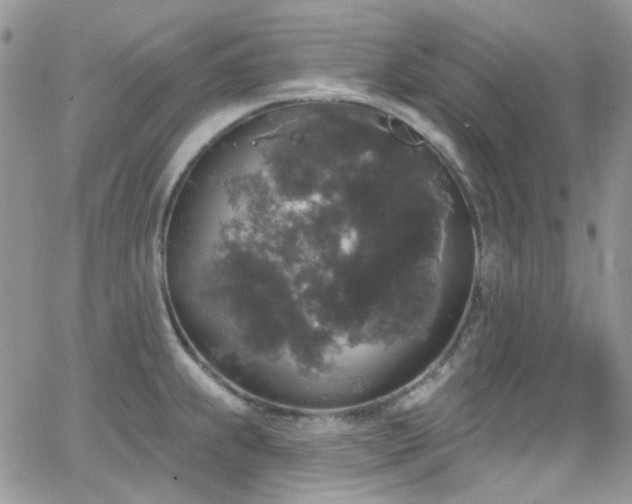 X0000062141239200512091207