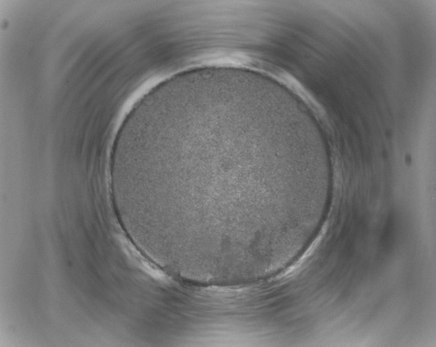 X0000062141240200512091207