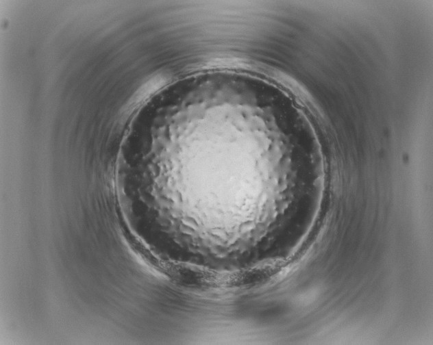 X0000062141241200512091207