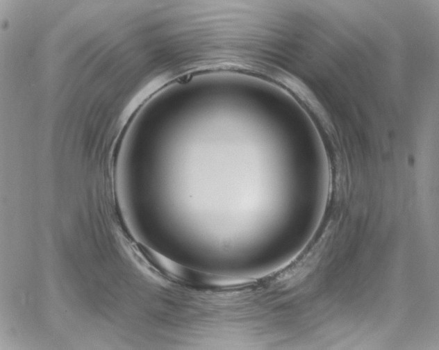 X0000062141242200512091207