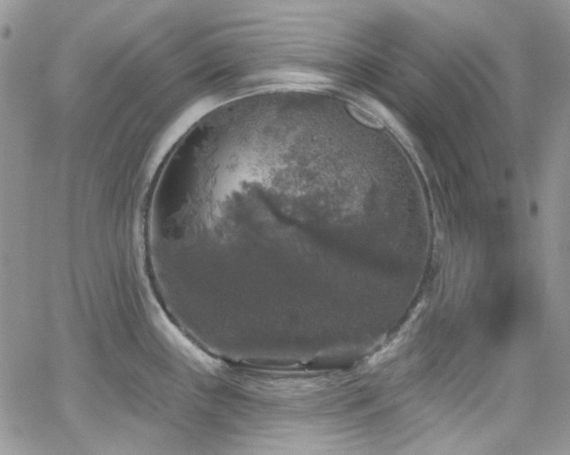 X0000062141243200512091207