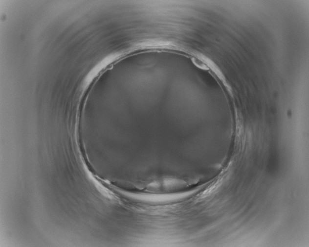 X0000062141245200512091207