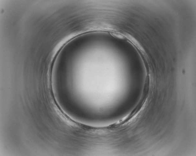 X0000062141246200512091207