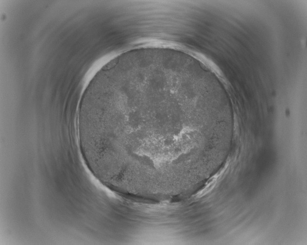 X0000062141247200512091207