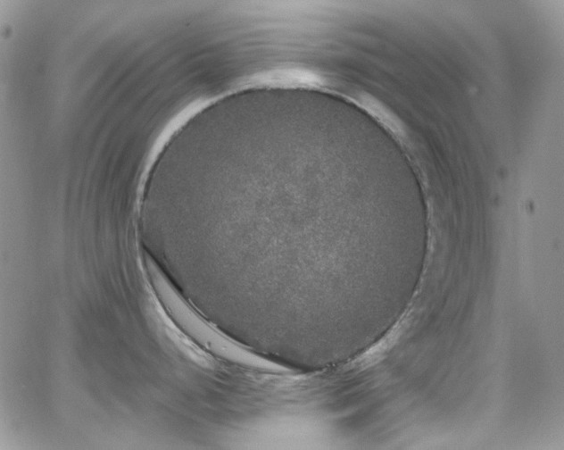 X0000062141248200512091207