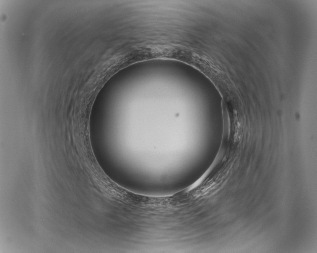 X0000062141249200512091206