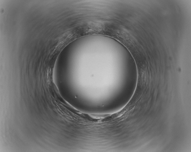 X0000062141250200512091206