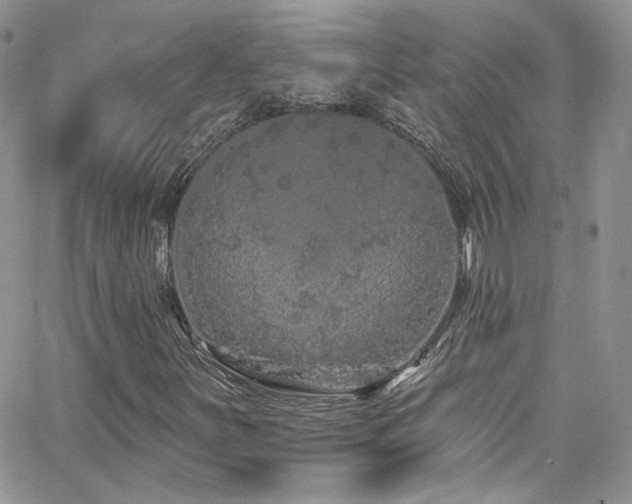 X0000062141251200512091206