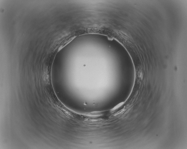 X0000062141252200512091206