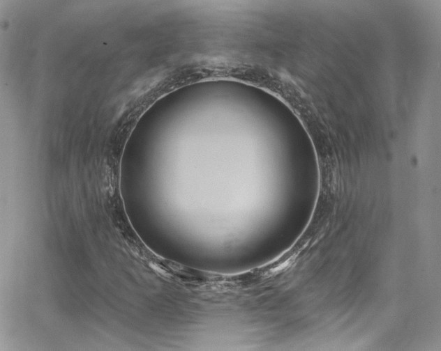 X0000062141253200512091206