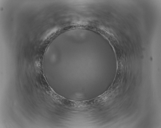 X0000062141254200512091206