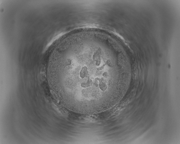 X0000062141255200512091206