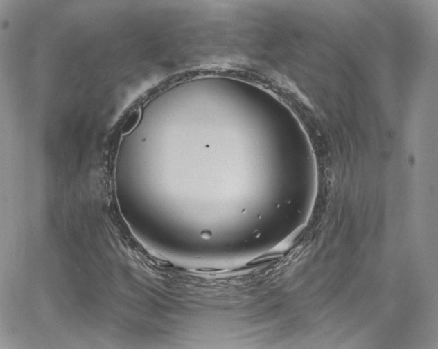 X0000062141256200512091206