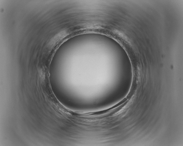 X0000062141257200512091206