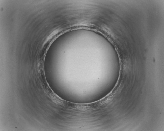 X0000062141258200512091206