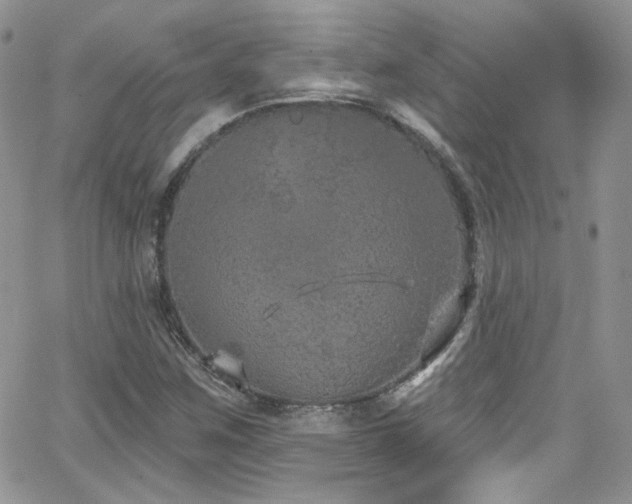 X0000062141259200512091206