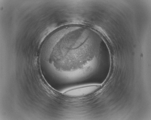 X0000062141260200512091206