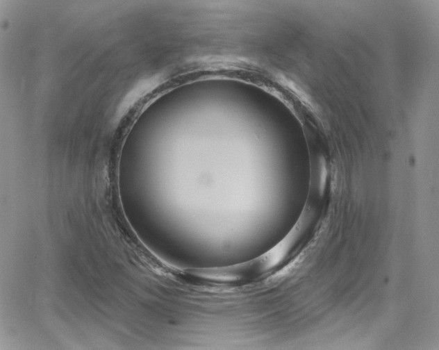 X0000062141261200512091206