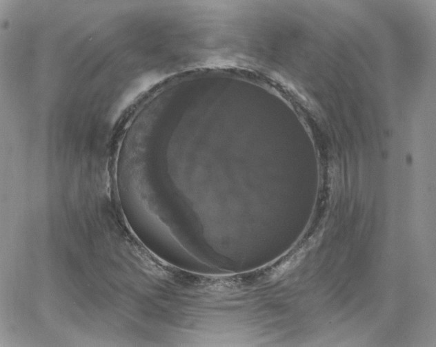 X0000062141262200512091206