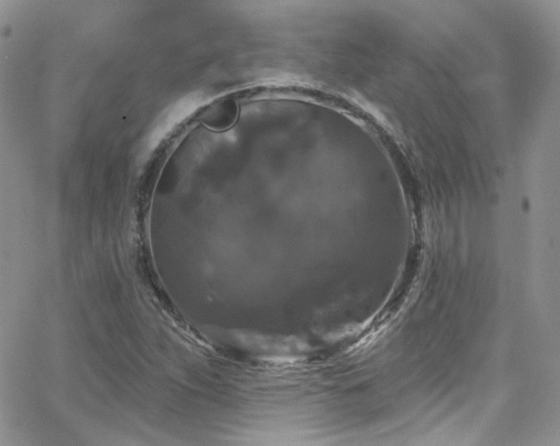 X0000062141263200512091206