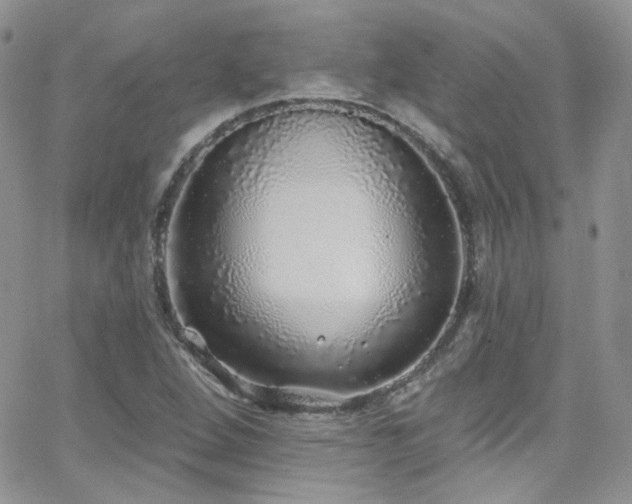 X0000062141264200512091206