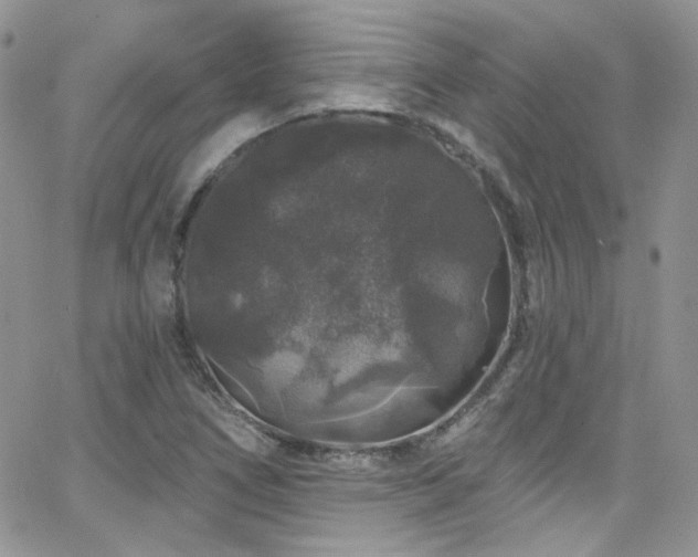 X0000062141266200512091206