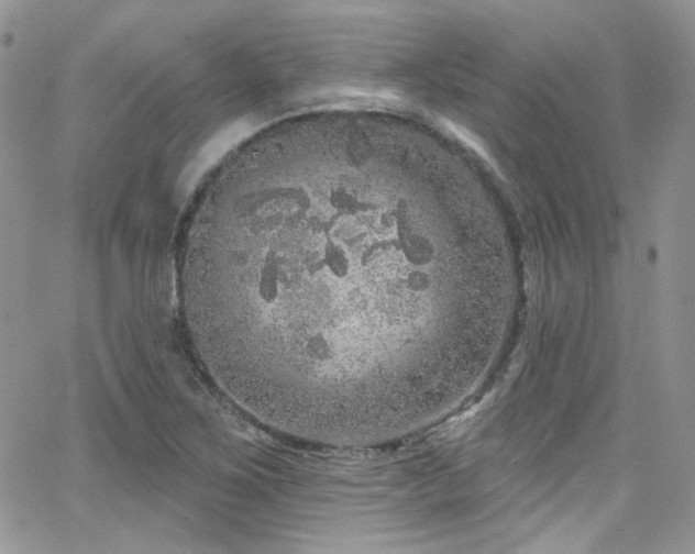 X0000062141267200512091206