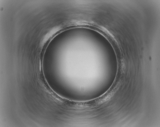 X0000062141269200512091206