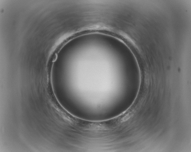 X0000062141270200512091206