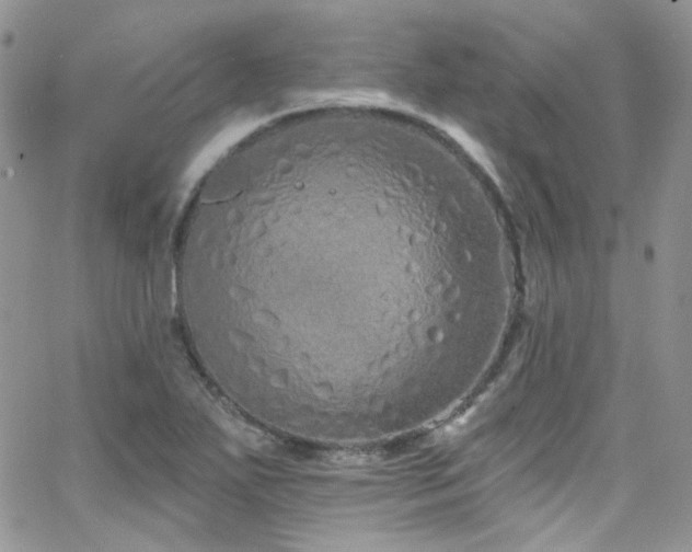 X0000062141271200512091206