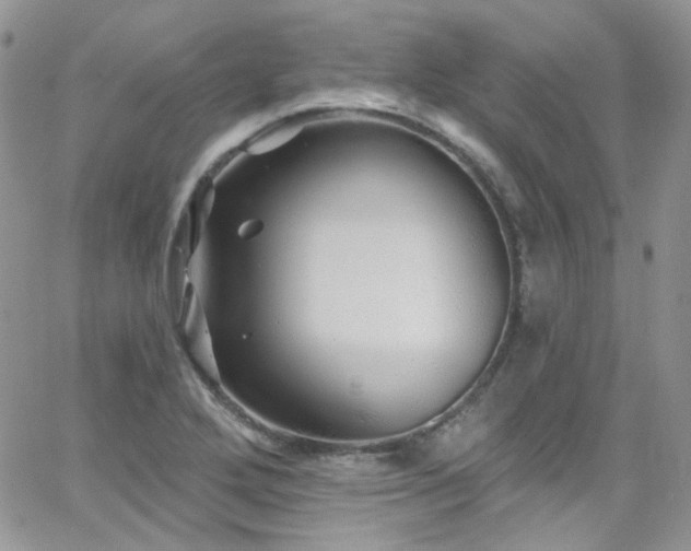 X0000062141272200512091206