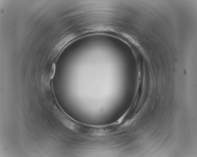 X0000062141273200512091206