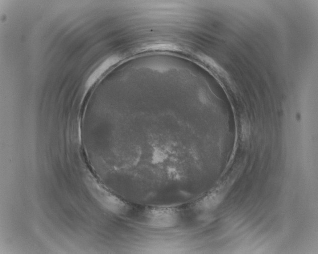 X0000062141274200512091206