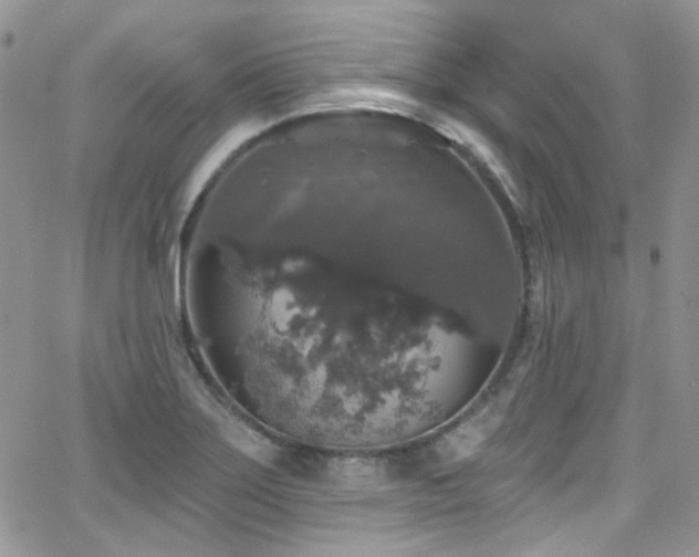 X0000062141275200512091206