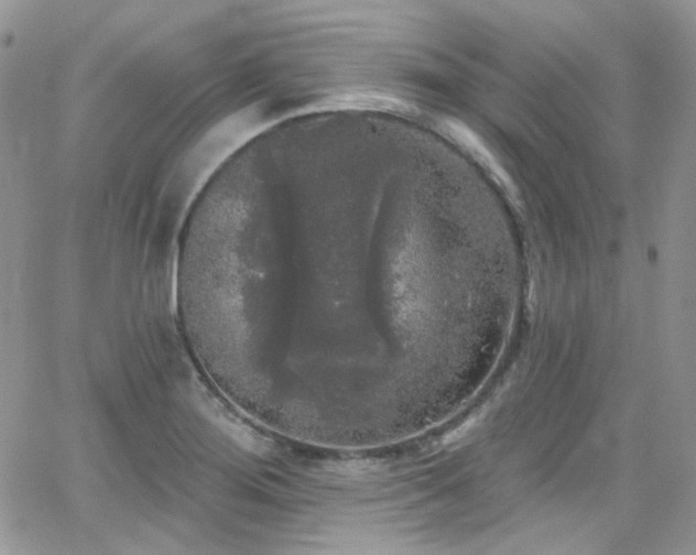 X0000062141276200512091206