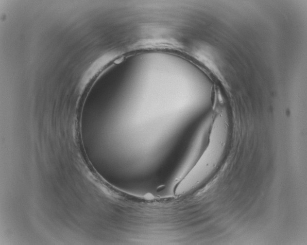 X0000062141277200512091206