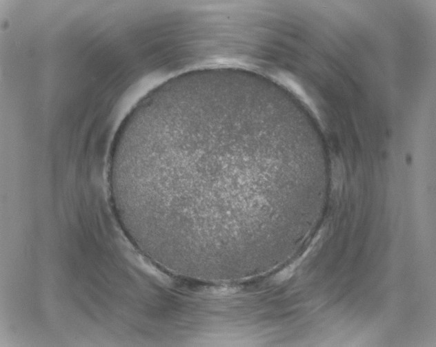 X0000062141278200512091206