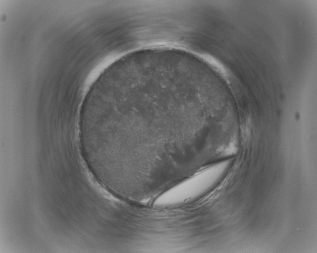 X0000062141279200512091206