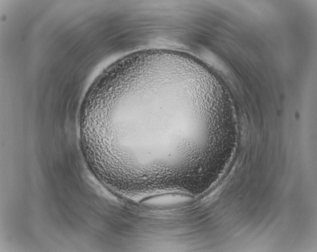 X0000062141280200512091206