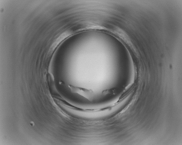 X0000062141281200512091206