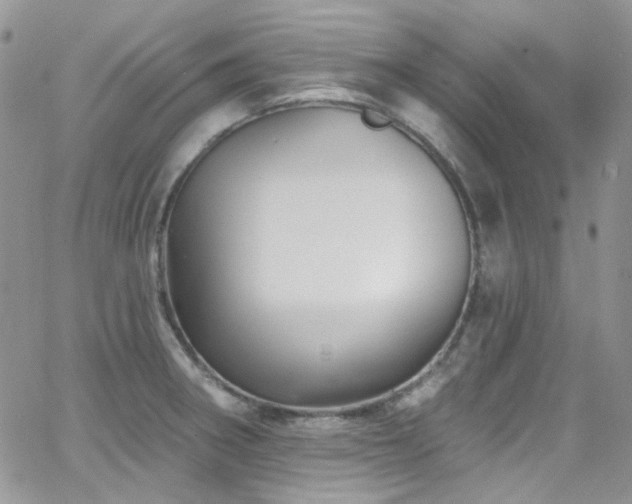 X0000062141282200512091206