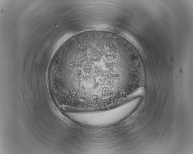 X0000062141283200512091206