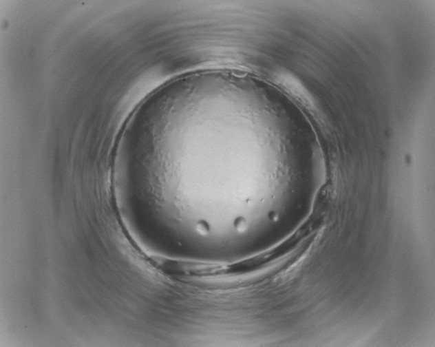 X0000062141284200512091206