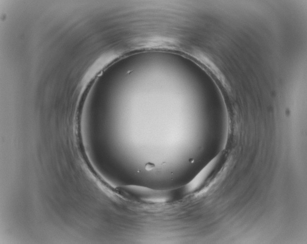 X0000062141285200512091206